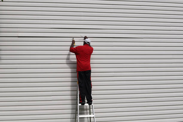 Affordable Siding Repair and Maintenance Services in Odessa, FL